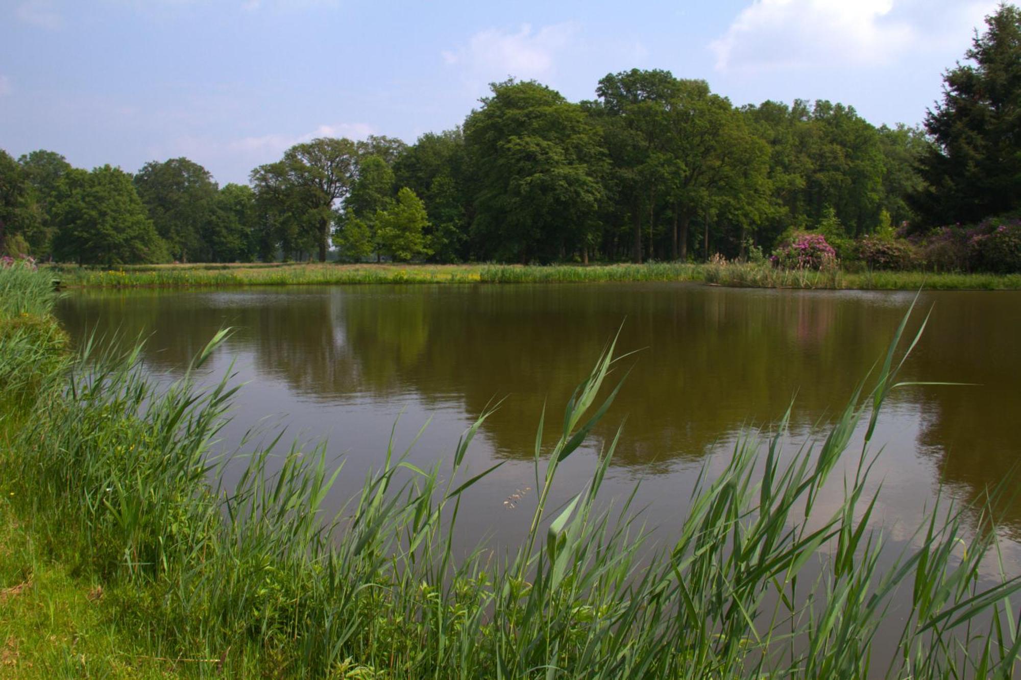 B&B Kasteel Den Tip Arendonk Bagian luar foto