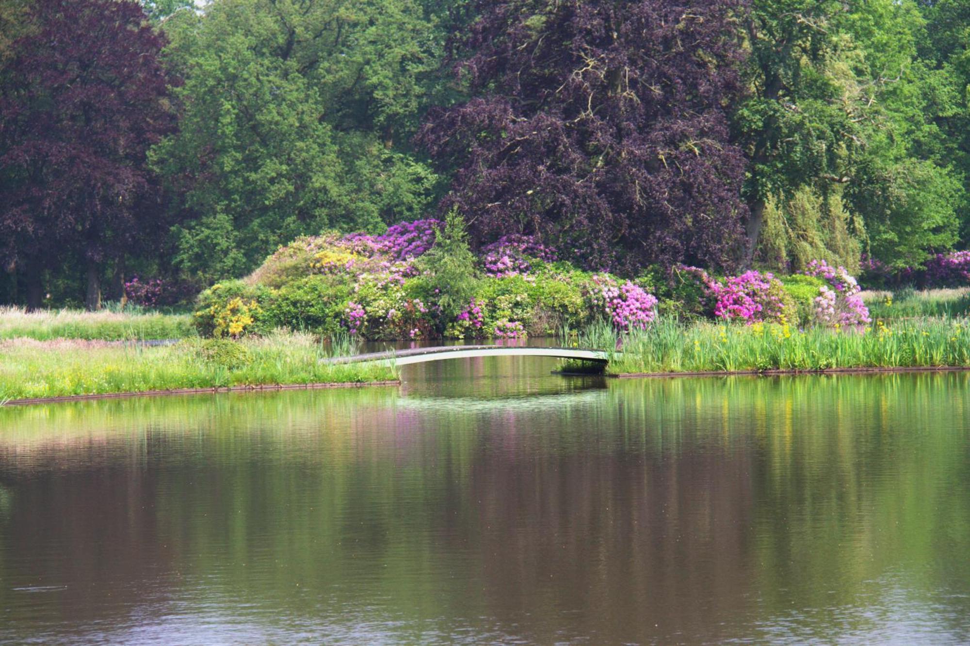 B&B Kasteel Den Tip Arendonk Bagian luar foto
